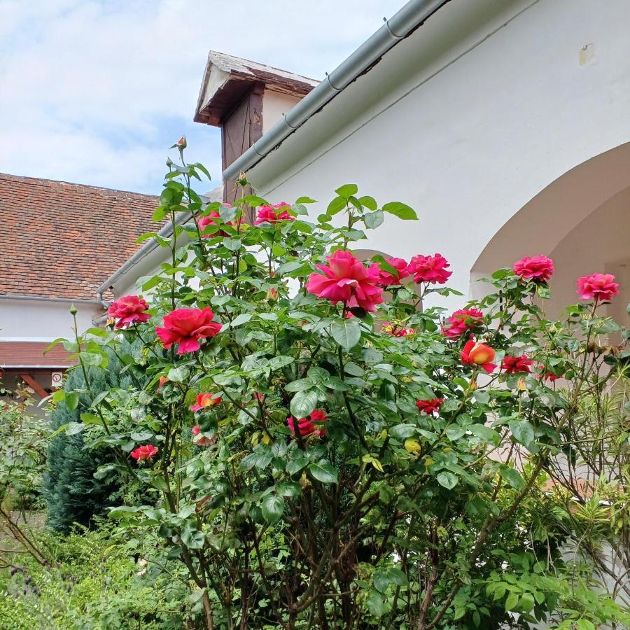 Blues Ryokan Koszeg Exterior photo