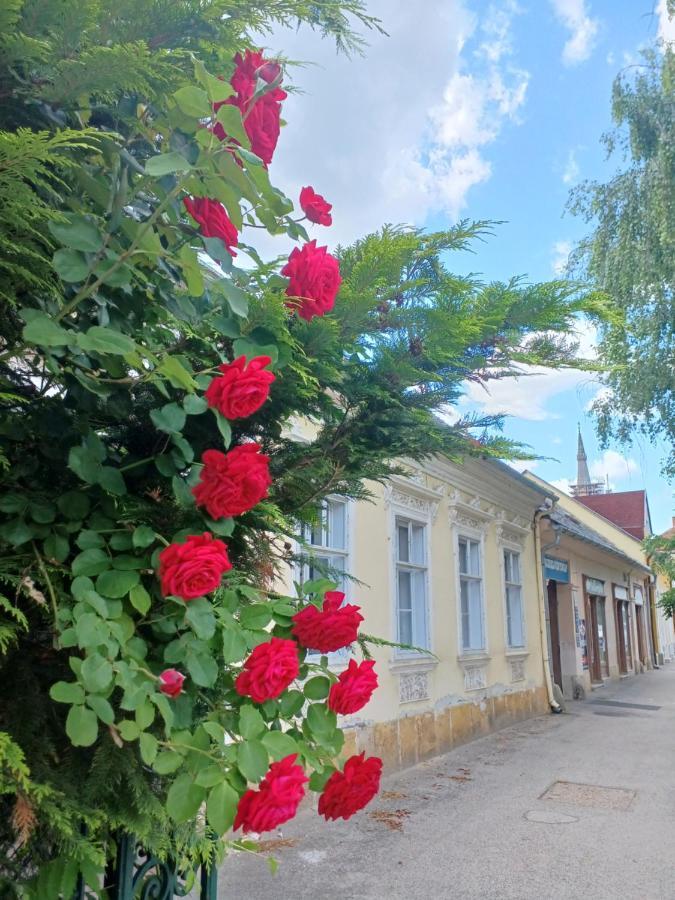 Blues Ryokan Koszeg Exterior photo