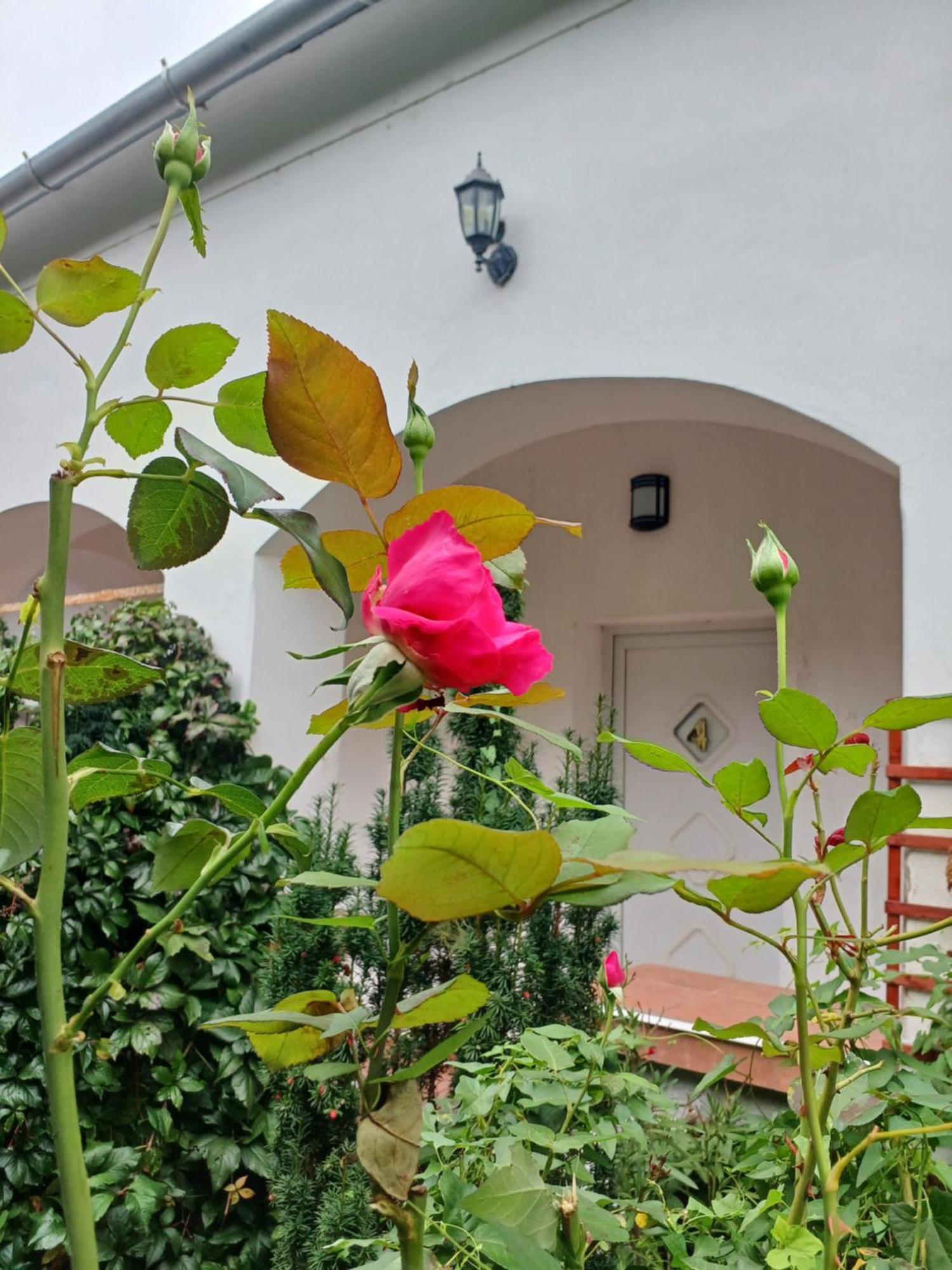 Blues Ryokan Koszeg Exterior photo